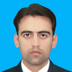 Obaidullah Shahnavee, Credit Recovery Officer