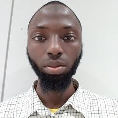 Ibrahim Mukaila , Research Assistant (RA)
