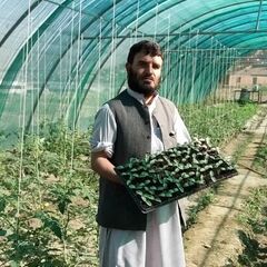Hazrat Gulab,  Farm manager
