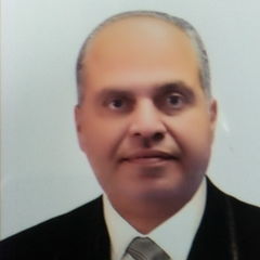 خالد إبراهيم,                                          Financial controller