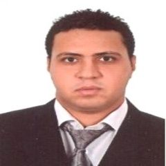 عمرو  عزت عبد العزيز, sales supervisor