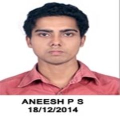 ANEESH P S, Junior Engineer