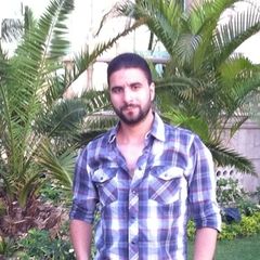 وائل العادلي, Administration assistant director