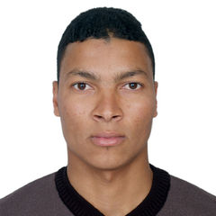 مصطفى زيراري