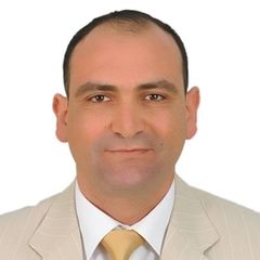 سيف الدين الغدامسي, Security manager