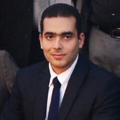 أحمد البيلي, Senior ERP consultant