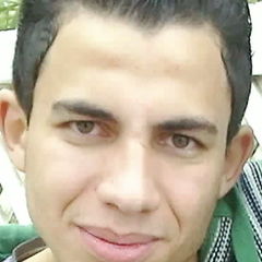 Mohamed El Sayed