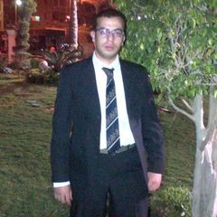 mohamed-ali-emam-33915865