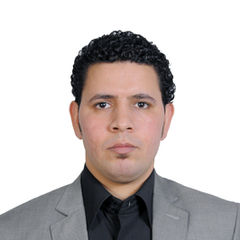Aly Mohamed Aly Ahmed, Senior / Chief Accountant