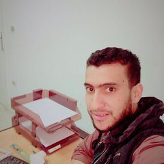Ibrahim Elzayat, Sales accountant
