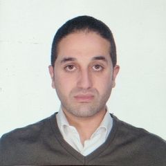 Seif El-Din Hamouda, Solutions Specialist 