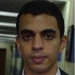 Mahmoud Abdel khalek, Supply Chain Coordinator