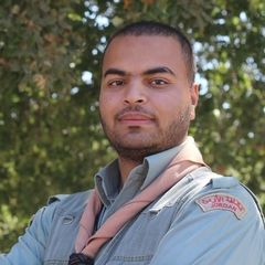 محمد المسيمي, billing and charging engineer 
