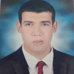 احمد ابو بكر ابراهيم عثمان, Egypt