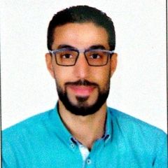 Mohamed Gamal Mohamed