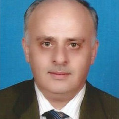FOUAD BOU YOUNES, construction Manager /Project Coordinator
