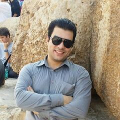 Mahmoud Elsayed, Project Manager