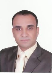 محمد السيد, .net developer