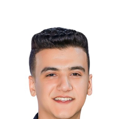 Mostafa Sakr