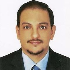 شريف أحمد محمد اسماعيل إسماعيل, Litigation Support Specialist (IT)