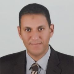 احمد فتحى يوسف, Software Project Manager