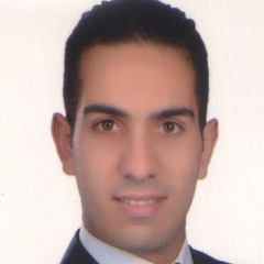 Mohamed Elzoghby