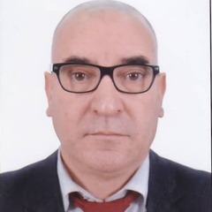 Farid Abdeddaim, مدير بنكي