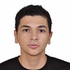 عبد الصمد زكرياء جلولي, Consultant 