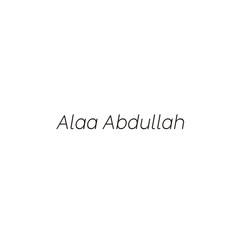 Alaa Abdullah , مدخلة البيانات