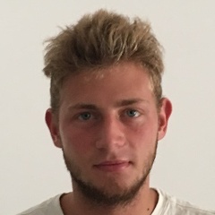 Matteo Zaramella, AI Junior researcher