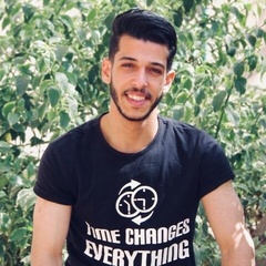 Mahmoud Elsokary