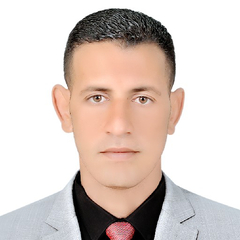 Mohamed abulmagd zaki Ali