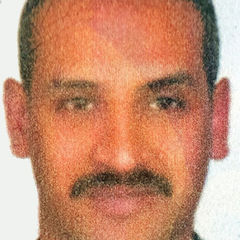 عمرو محمد الحداد, Executive/Director