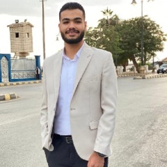 Abdelrahman Mohamed Hemida