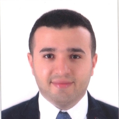 Hosny Ali Mahmoud  Hussien, external auditor