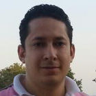 Mohamad Montaser, Business Analyst / Microsoft CRM Consultant (Technical / Functional)