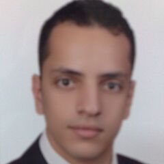 Mohamed Fouad, محاسب عام