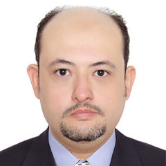 Khaled ELSISI, Freelance Consultant