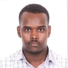 Ibrahim Ali Mohamed Musa