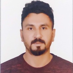 MALIK MUHAMMAD SOHAIL HANIF, PROJECT RISK MANAGER