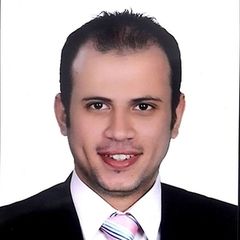 Mahmoud El Mahdy, accountant