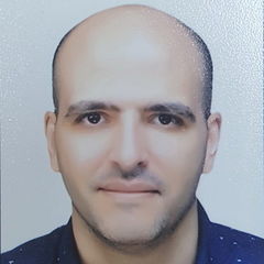 Ayman Ibrahim, Authorities Coordinator