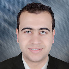 رمضان عبدالنبى رمضان محمد هيكل, Telecom Engineer 