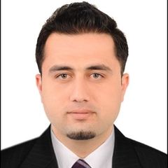 Muhammad Waqas Shah, Sales Executive