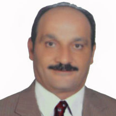 فتحى عزيز عبدالرحمن منصور, Chairman assistant for Contracts and Tenders 