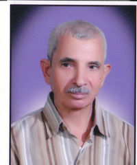 Ahmed Taha Badr Farag,  مدير عام