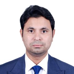 Rafeeq Shaik, Senior Strategy Planning/PMO Consultant