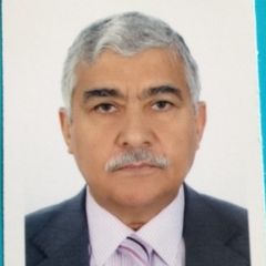 Mazin AlBachari, Consultant Advisor for Kurdistan Regional Government / Council of Ministers