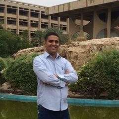 نبيل محمد عبده محمد, Lecturer