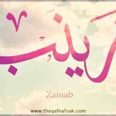 zainab mahmoud heikal, 